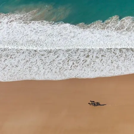 La Perle De élégance&vue 4 Pers Apartamento