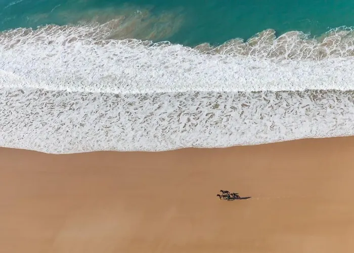 La Perle De Elegance & Vue 4 Pers Διαμέρισμα